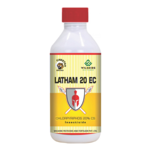 Latham-20