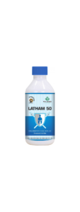 Latham-50