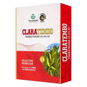 Clara Tembo