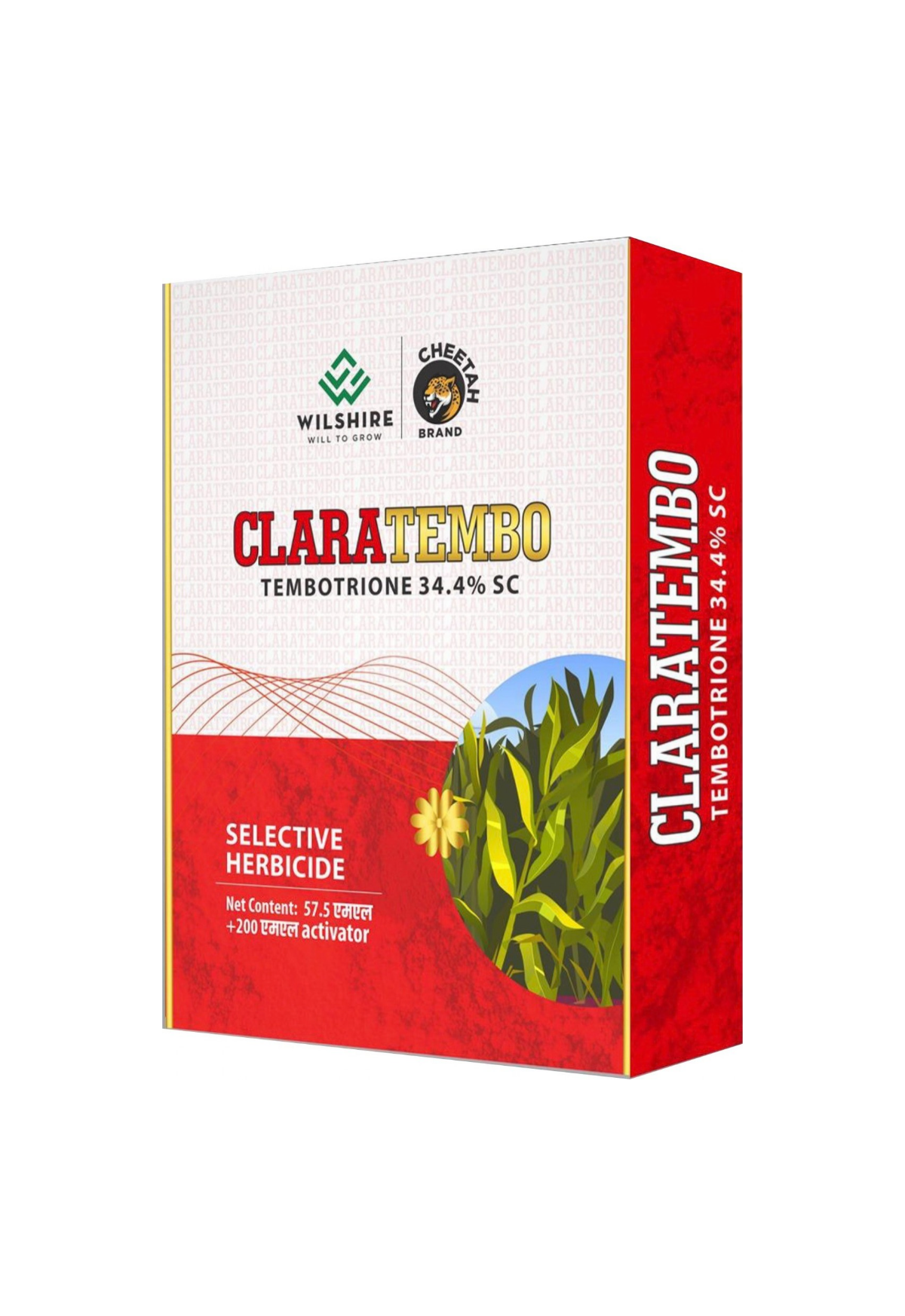 Clara Tembo