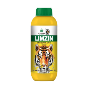 Limzin