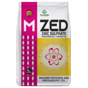 Mzed-33