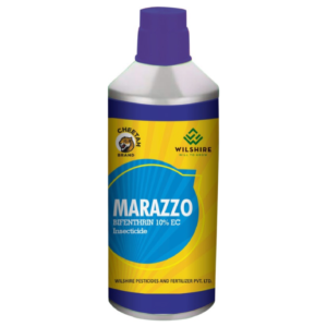 Marazoo