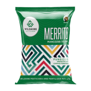 Merrito