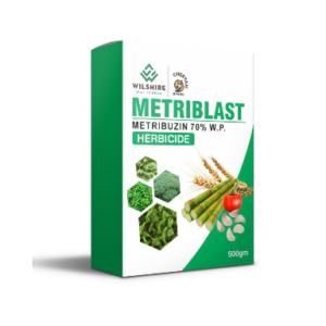 Metriblast