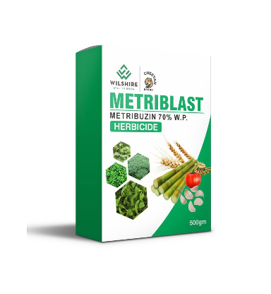 Metriblast